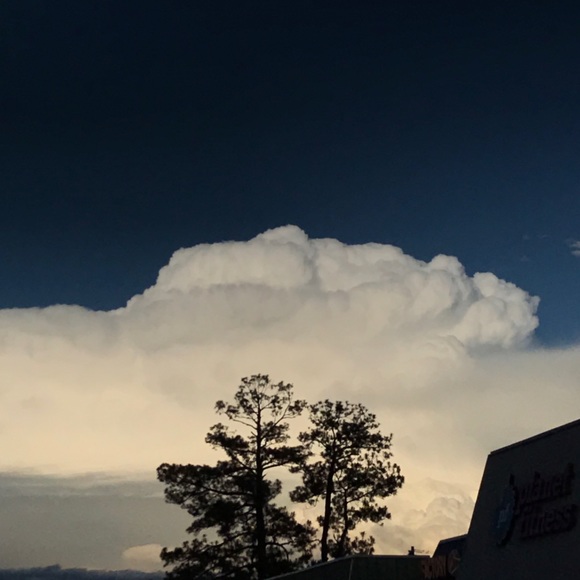 Meet your Posher, Diane - Picture 4 of 6